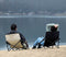 S'more Low Beach Chairs with Carry Bag, Camping Chair with Padded Armrests, Lightweight Folding Chairs for Camping, Hiking, Backpacking, Picnicking, Lawn, Outdoor, Concert, Sand, Black