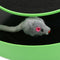 Motion Kitten Cat Toy Catch The Mouse Chase Interactive Cat Training Scratchpad