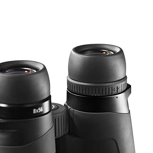 Zeiss 10x32 Conquest HD Binocular with LotuTec Protective Coating (Black)