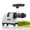 Omega MM900HDS Cold Press Juicer - Celery Juicer, Quiet Dual-Stage Slow Masticating Juicer, 80 RPM, 200W (Silver)