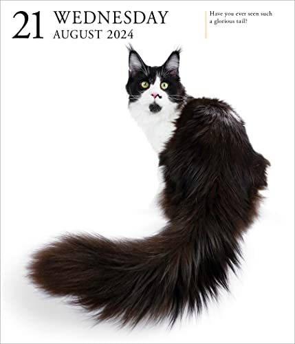 Cat Page-A-Day Gallery Calendar 2024: A Delightful Gallery of Cats for Your Desktop