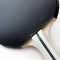 Palio Expert 3.0 Table Tennis Bat & Case - ITTF Approved, Beginner Ping Pong Racket