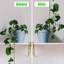 100PCS Invisible Wall Vines Fixing Clips Plant Climbing Holder Fixer Self-Adhesive Fixture Wall Sticky Hook Plant Support Binding Clip Vines Holder