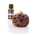 Australian Wholesale Oils Mini Banksia Pod Diffuser