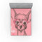 Ambesonne Dog Fitted Sheet, Girl Chihuahua Sketch Illustration Words Fashion Glasses Ribbons Puppy, Soft Decorative Fabric Bedding All-Round Elastic Pocket, Full Size, Green Pink