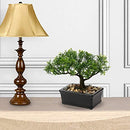 U/S Bonsai Tree, Fake Plants Ceramic Potted Tree Artificial Japanese Cedar Bonsai Tree Decoration for Home Desk Office Bathroom Kitchen Farmhouse Indoor/Outdoor (Bonsai Tree