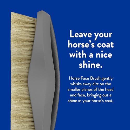 Wahl Professional Animal Equine Grooming Face Horse Brush (