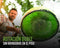 Greenworks Surface Cleaner Universal Pressure Washer Attachment