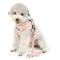 ZUNEA No Pull Small Dog Harness and Lead Set Adjustable Reflective Step-in Chihuahua Vest Harnesses Mesh Padded Plaid Escape Proof Puppy Jacket for Boy Girl Pet Dogs Cats Pink XS