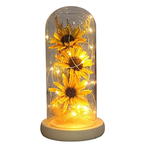 Birthday Gifts for Women Christmas Rose Gifts for Her,Light Up Rose in Glass Dome, for Girlfriend,Colorful Artificial Flower Rose Gifts for Mom,Christmas Women Gifts,Xmas Gift Ideas for Women