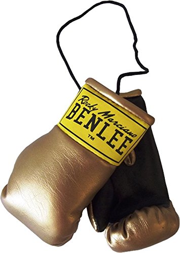 BENLEE Rocky Marciano Unisex_Adult Mini Miniature Boxing Gloves, Gold, Standard Size 199027