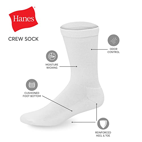 Hanes Men's X-temp Cushioned Crew Socks (Pack of 12 Pairs), White, 6-12