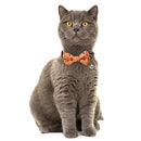 Halloween Cat Collar Breakaway with Cute Bow Tie and Bell for Kitty Adjustable Safety