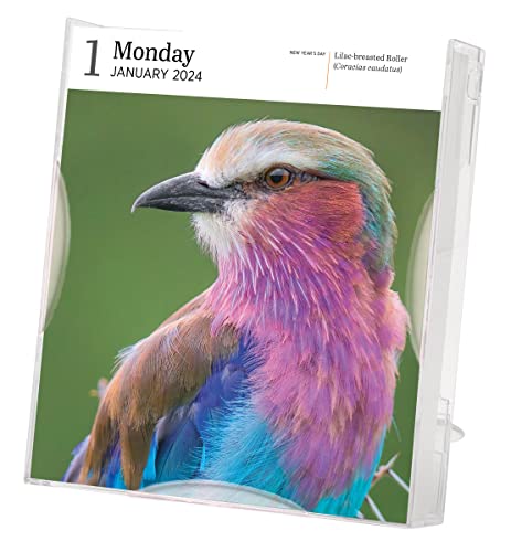 Audubon Birds Page-A-Day Gallery Calendar 2024: Hundreds of Birds, Expertly Captured by Top Nature Photographers