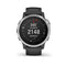 Garmin Fenix 6S, Premium Multisport GPS Smartwatch, Silver With Black Band