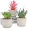 Zoste Set of 3 Artificial Succulent Plants, Mini False Bonsai with Cement Pot for Office Desk Kitchen Bathroom Garden Decoratio