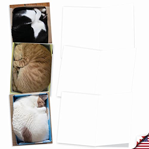 10 Cat-Themed Note Cards with Envelopes, Assorted 'Square Cats' Blank Greeting Cards, All-Occasion Kitten Stationery for Baby Showers, Congratulations, Thank Yous 4 x 5.12 inch M4623OCB-B1x10