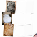 10 Cat-Themed Note Cards with Envelopes, Assorted 'Square Cats' Blank Greeting Cards, All-Occasion Kitten Stationery for Baby Showers, Congratulations, Thank Yous 4 x 5.12 inch M4623OCB-B1x10