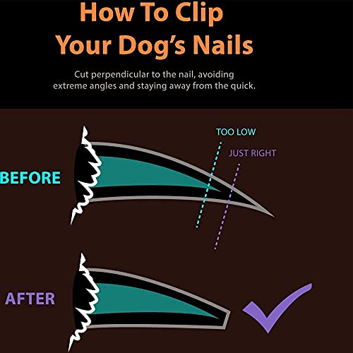 Dog Nail Clippers, Professional Pet Nail Clipper & Trimmers with Safety Guard to Avoid Over Cutting, Grooming Razor with Nail File for Small and Medium Dog and Cat (Small)