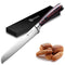 PAUDIN Bread Knife, 8 Inch Bread Slicing Knife, German High Carbon Stainless Steel Serrated Edge Knife with Ergonomic Handle, for Homemade, Crusty Bread