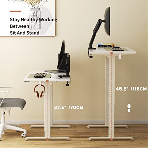 ADVWIN Ergonomic Standing Desk 28"-45" Height Adjustable Electric Sit Stand Desks with Smart Memory Lifting Base Sturdy Motor Computer Workstation for Home, Office, Gaming, Study(White Top White Legs)
