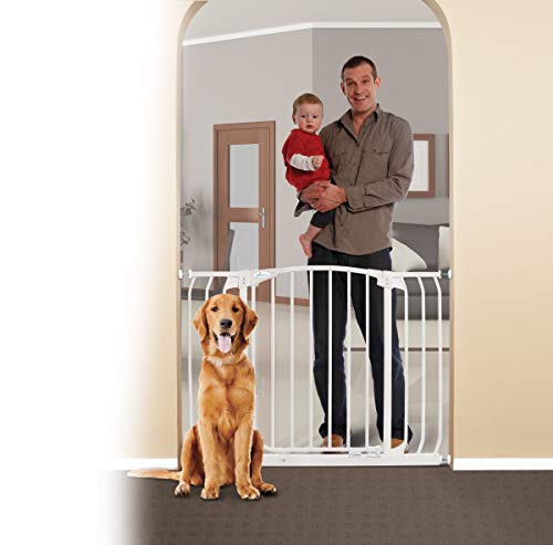 Dreambaby Chelsea Xtra-Wide Hallway Auto-Close Security Gate, White,