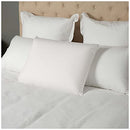 Tontine Comfortech Talalay Latex Pillow, Medium Height, Medium Softness, Natural Cotton Cover, Premium Quality