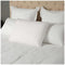 Tontine Comfortech Talalay Latex Pillow, Medium Height, Medium Softness, Natural Cotton Cover, Premium Quality