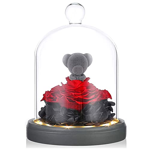 Glass Preserved Real Eternal Rose, Birthday for Her Gifts Women Artificial Rose with DIY Led Light, Beauty and The Beast Dome, Mother's Day Valentine's Mom Gift from Daughter, TOJUNE (Teddy Bear)