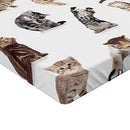 Ambesonne Cat Fitted Sheet, Illustration of Funny Playful Cats on Plain Background Animals Kitten Pattern, Soft Decorative Fabric Bedding All-Round Elastic Pocket, Twin Size, Black Beige
