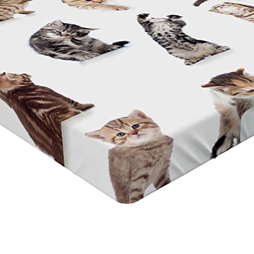 Ambesonne Cat Fitted Sheet, Illustration of Funny Playful Cats on Plain Background Animals Kitten Pattern, Soft Decorative Fabric Bedding All-Round Elastic Pocket, Twin Size, Black Beige