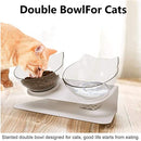 iDopick Cat Bowl, Elevated Dog Food and Water Transparent Bowl with Raised Stand 15°Adjustable Tilted, Pet Feeder for Kitten Puppy Cats