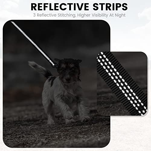 PuppyDoggy Dog Leash for Small to Medium Dogs 6 ft with 3 Reflective Stitching and 2 Traffic Padded Handles Dog Lead/Rope, Pet Leash for Running Walking Training (Black 1 Pack)