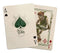 Gent Supply Bicycle Creatures of The FAE Playing Cards