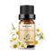 Chamomile Essential Oils 100% Pure & Natural Organic Chamomile Essential Oil for Diffuser Aromatherapy - 10ML