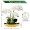 Briful Orchids Artificial Flowers 15" White Phalaenopsis Orchid with Pots Real Touch Faux Orchid Flower for Home Office Bedroom Table Centerpiece Desk Decor
