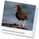 Audubon Birds Page-A-Day Calendar 2024: The World's Favorite Bird Calendar