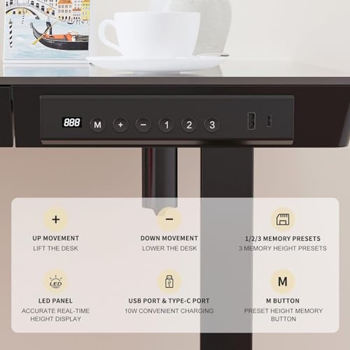 Luxsuite Electric Standing Desk Sit Stand Up Table Desktop Desk Motorised Height Adjustable Rising Tempered Glass Top Computer Office Sturdy Workstation USB & Type C 120x60cm Black