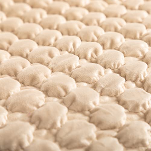 ALIMORDEN Accent Bean Bag Couch, Soft Plush Lounge Chair Lazy Leisure Sofa for Living Room, Bedroom, Salon, Office, Champagne