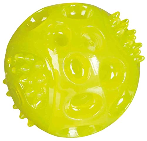 Trixie Dog Activity Dog Disc Bite-Proof, 23 cm- Random