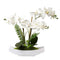 Orchids Artificial Flowers 15" Large Fake Orchid White Phalaenopsis Orchid Flower Arrangements with Ceramic Vase Faux Orchid for Home Bathroom Table Centerpiece Office Wedding Decor