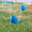 Zozen Marking Flags, Blue Lawn Flags Markers - 50Pack | 15x4x5 Inch, Yard Flags Marking, Marker Flags, Irrigation Flags,Landscape Flags, Sprinkler flags, Match for Measuring Wheel.