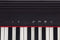Roland GO:PIANO 61-key Digital Piano Keyboard with Integrated Bluetooth Speakers Black GO-61P