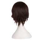 MapofBeauty Men's Short Straight Wig Cosplay Costume Wig (Dark Brown)