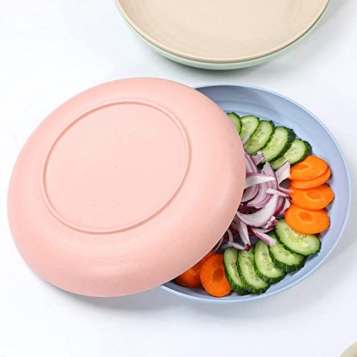 10 inch Unbreakable Dinner Plate-Reusable Plate Set and Microwave Safe-BPA-Free Sturdy Tableware-Perfect Choice for Fruit Platter, Dinner, Dishes. (Color Mixing)