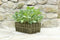 Tierra Garden 50-9000 Haxnicks Rootrainers Seed and Cutting Propagation Kit - Deep, Clear