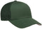 Flexfit Men's Trucker Mesh Cap, Evergreen, One Size