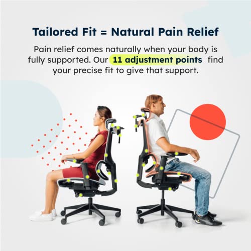 ErgoTune Supreme Ergonomic Office Chair - Adjustable Backrest Desk Chair, Lumbar Support, Headrest, 5D Armrests - High Back Breathable Durable Mesh Recline (Charcoal Black)