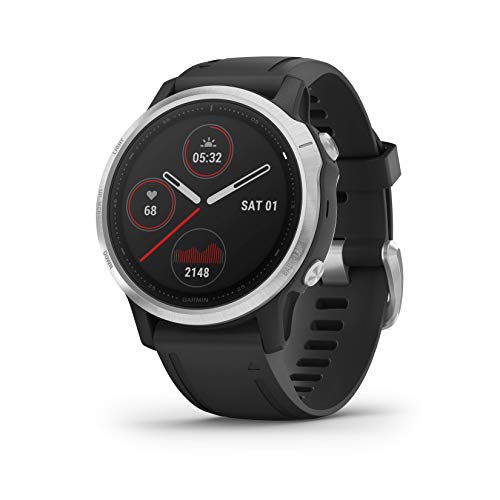 Garmin Fenix 6S, Premium Multisport GPS Smartwatch, Silver With Black Band