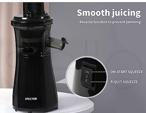 Spector Electric Slow Cold Press Juicer Orange Juice Low Speed Masticating Machines Vegetable Fruits Celery Wheatgrass Extractor Sorbet Maker Lemon Squeezer Black